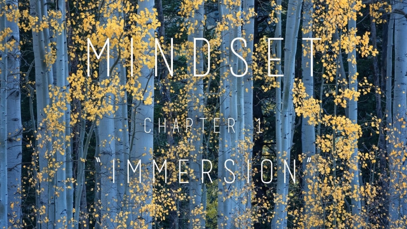 Скачать с Яндекс диска bennettfilm.com — Eric Bennett — Mindset Chapter 1: «Immersion»